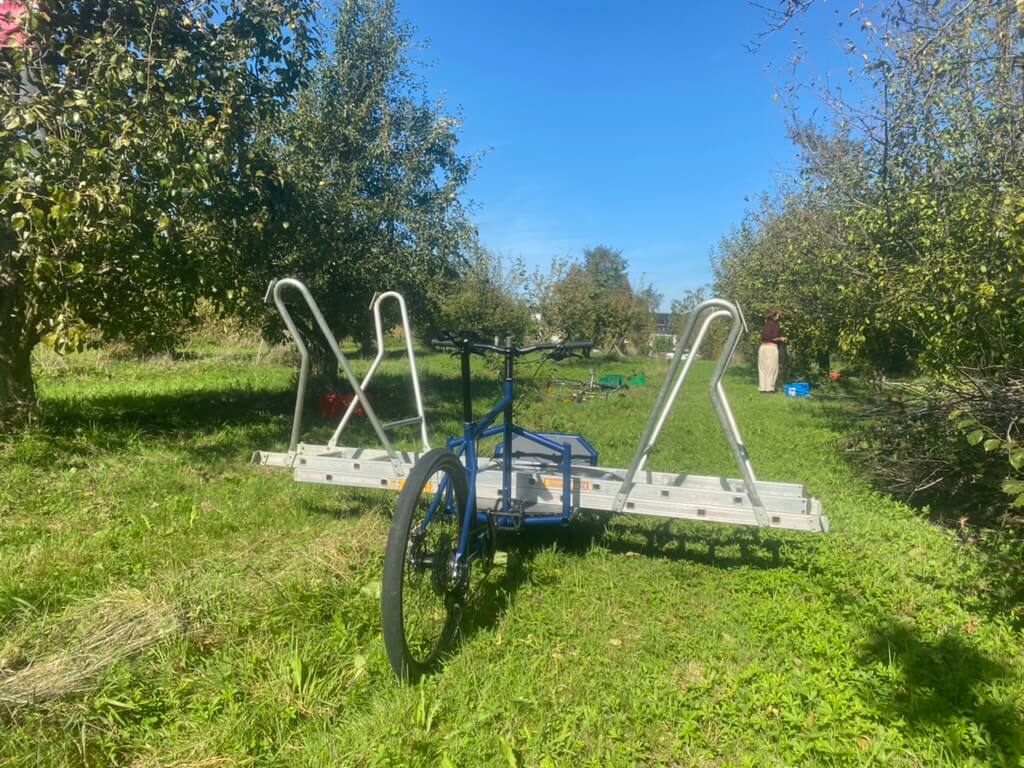 The bike on a fruit field loaded a huge ladder